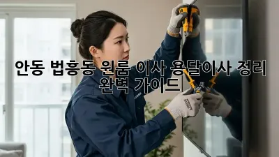 안동 법흥동 원룸 이사, 용달이사 정리 완벽 가이드!
