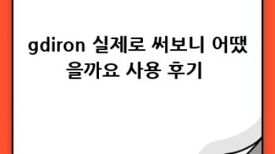 gdiron 사용 후기: 인생템 될 뻔?! 꿀팁 대방출!